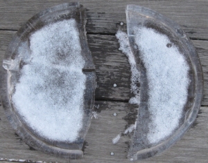 Cracked disk, garnished with snow