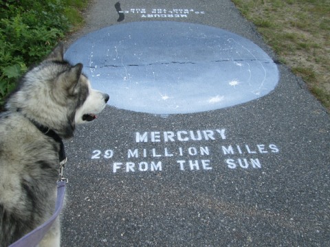 Trav checks out Mercury.